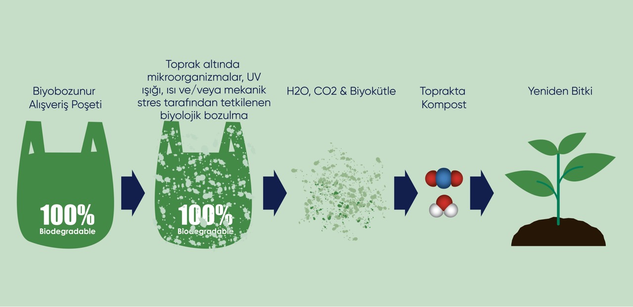 Büyük NP BANNER_tr